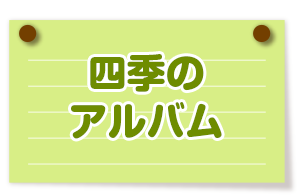 四季のアルバム